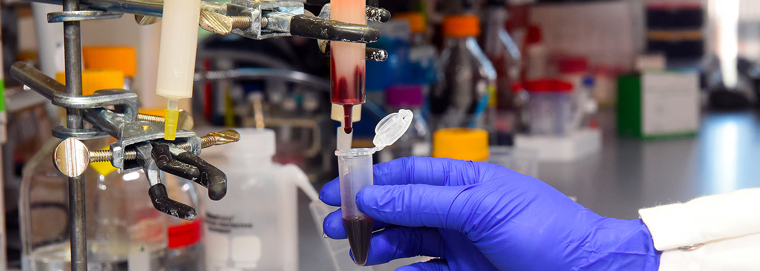 Researchers in a lab