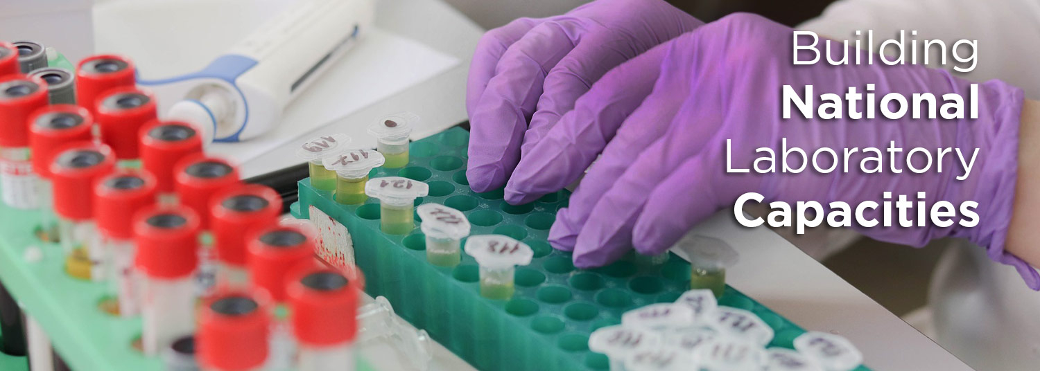 Building National Laboratory Capacities