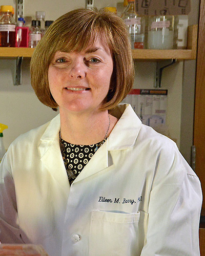 Eileen Barry, PhD