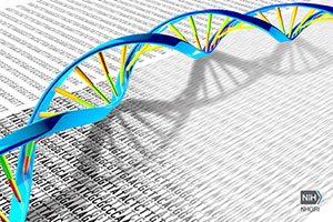 DNA Sequence