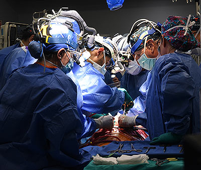 Xenotransplant surgery in progress