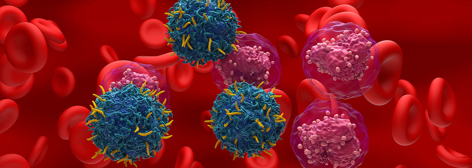 Researchers Identify Target with Potential to Improve CAR T-Cell Therapy Response in Patients with Blood Cancers
