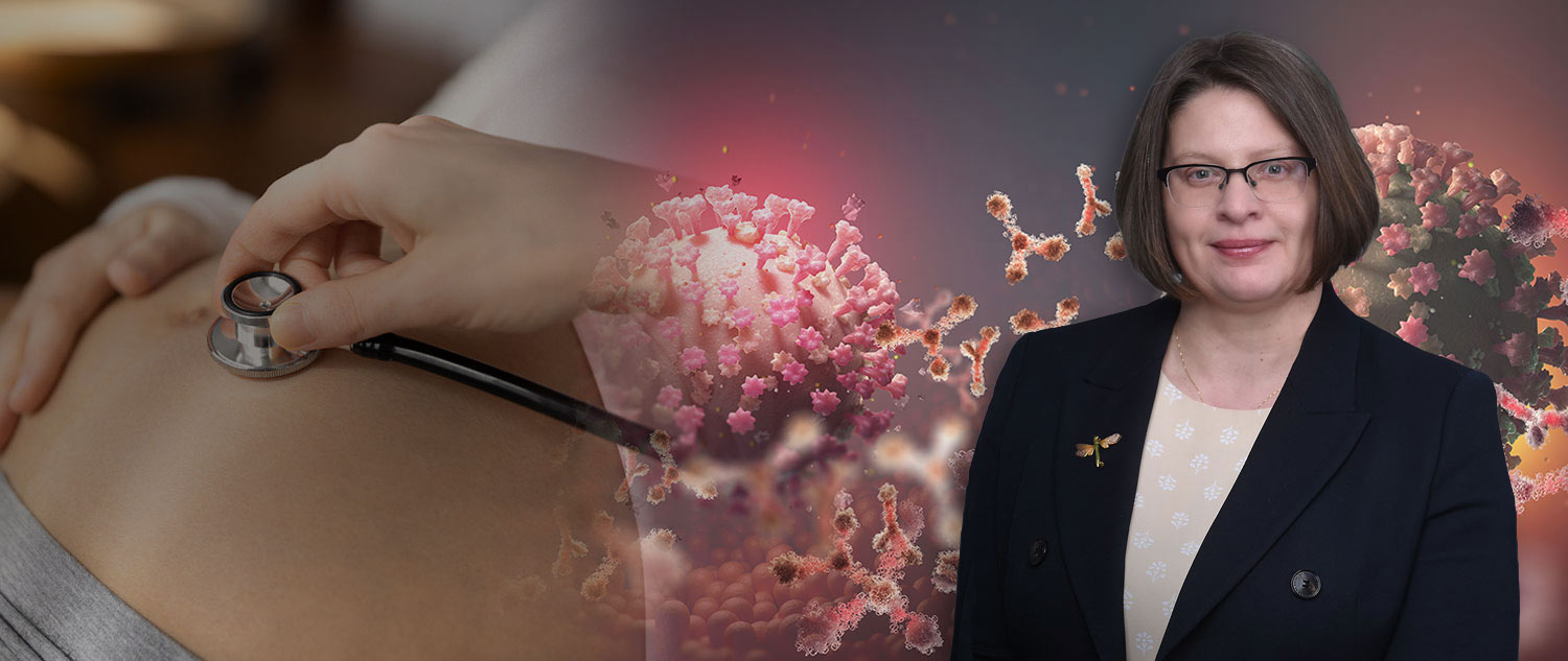 Creanga NAM Banner