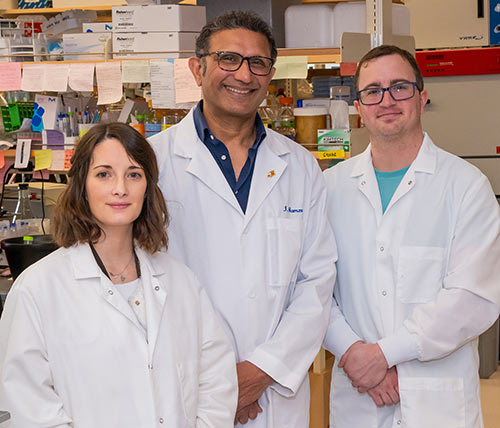 Study co-authors (left to right): Audrey Belot, Iqbal Hamza, Andrew Rock
