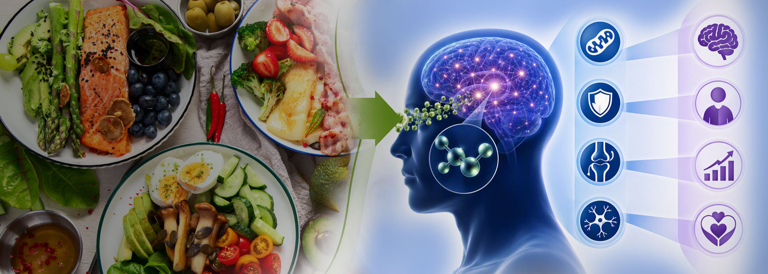 Keto Diet Banner