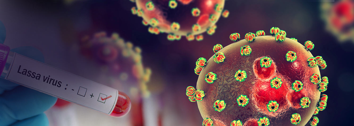 Lassa Fever Banner