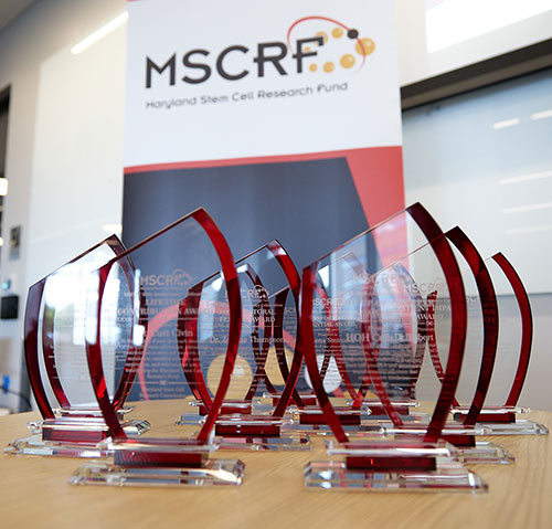 MSCRF Transformative Potential Award