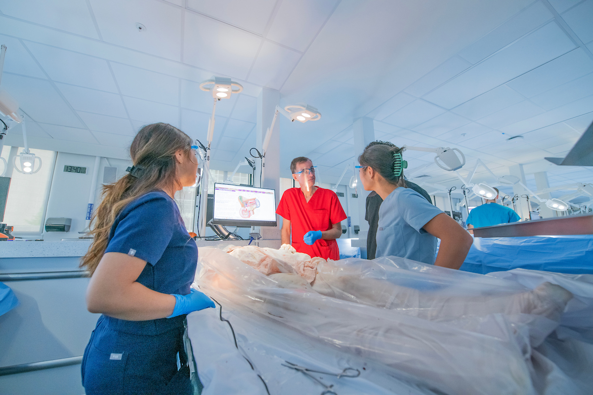 Your Medical Education