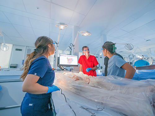Dr. Puche Anatomy Lab