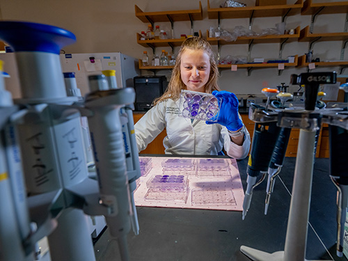 Female scientist in lab