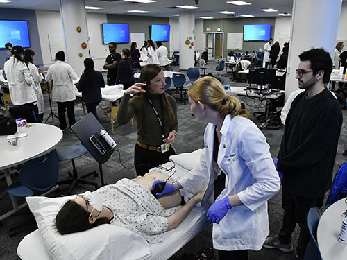 Your Path to Medical School