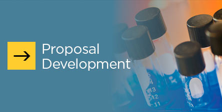 Proposal  Development Button