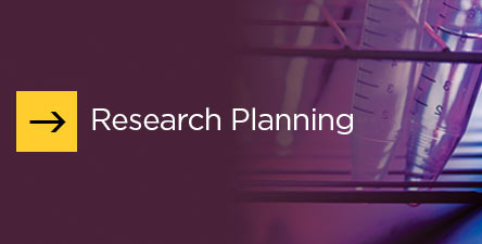 Research Planning Button