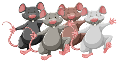 A line of cartoon rats depicted on two legs stepping forward. The first rat is black, the second gray, the third brown, and the fourth gray.