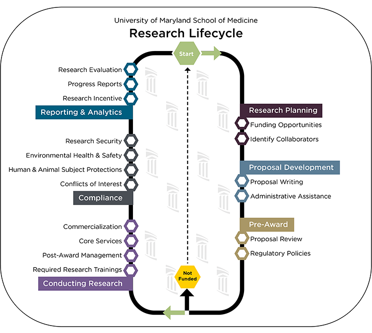 University of Maryland School of Medicine research lifecycle diagram: planning, proposal development, pre-award, conducting research, compliance, and reporting/analytics, with key activities at each stage.