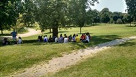 group gathering under tree