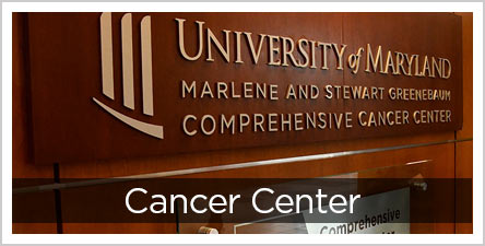 Greenebaum Comprehensive Cancer Center Button