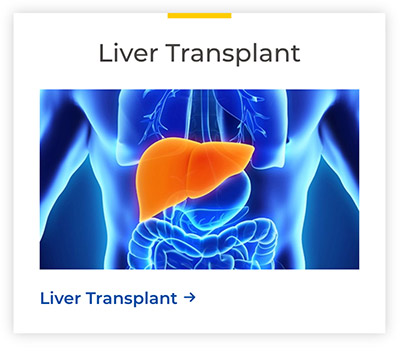 Liver-Button