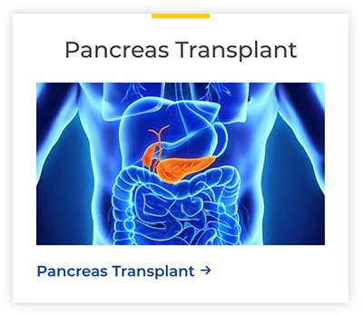Pancreas-Button