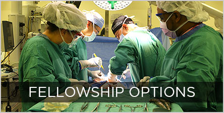 Fellowship-Options-STC-Fellowship-Button