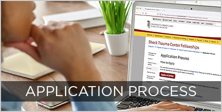 application-STC-Fellowship-Button