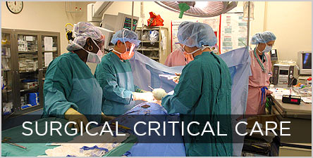 surgical-Critical-Care-STC-Fellowship-Button