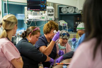 Trauma faculty and fellows at work