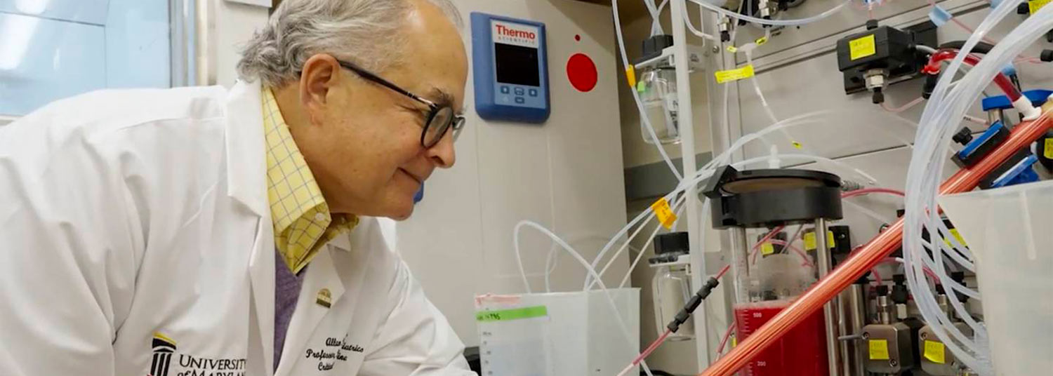 Allan Doctor banner 02