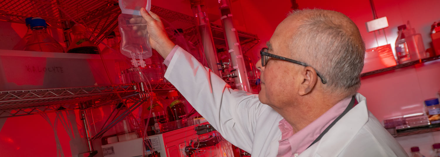 Allan Doctor banner 03