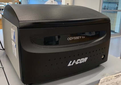 LI-COR imager