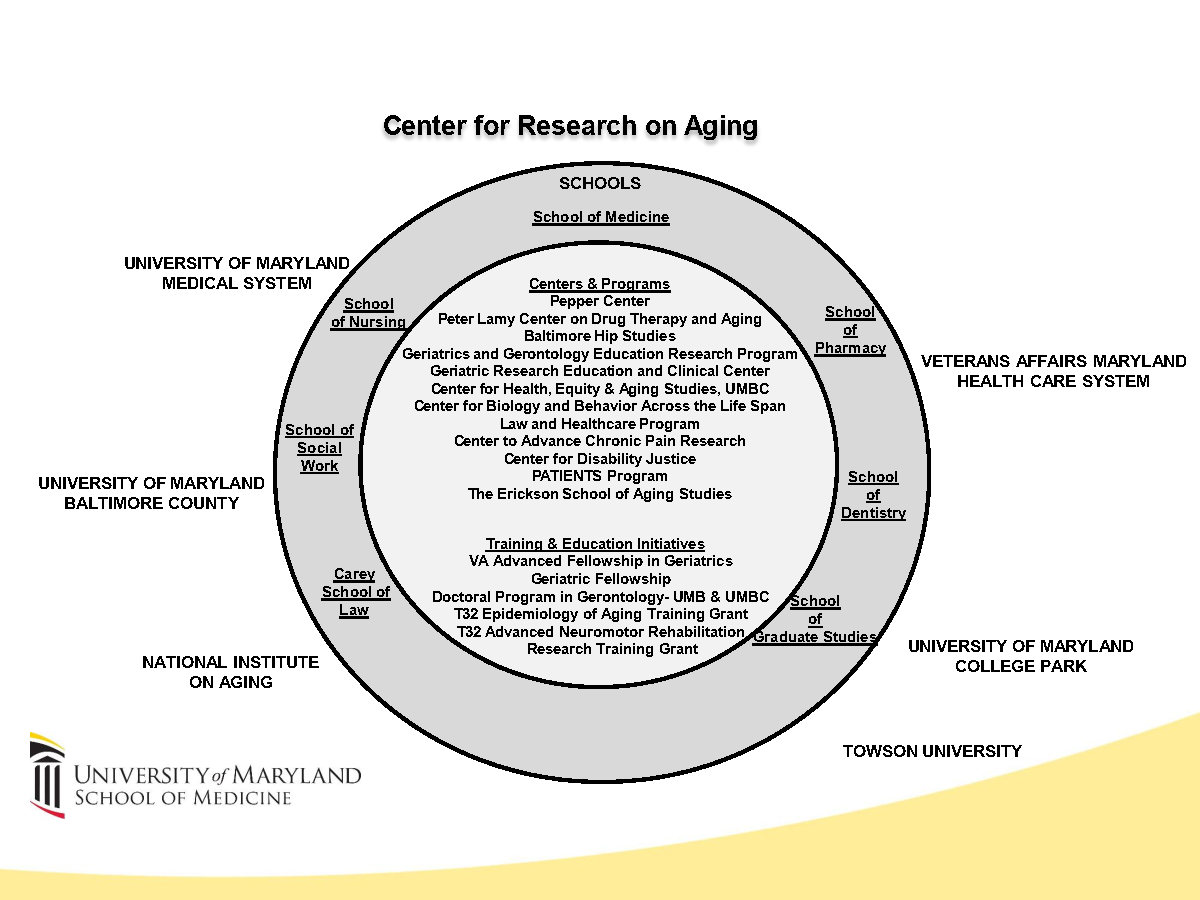 Circle diagram of programs