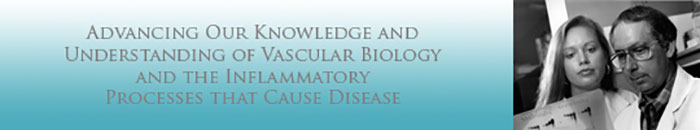 Banner: Advancing Our Knowledge and Understanding  of Vascular Biology and The Inflammatory Process That Cause Disease
