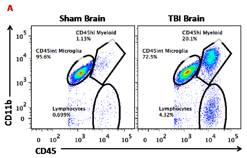 Flow Cytometry and Immunological Responses to TBI Figure A