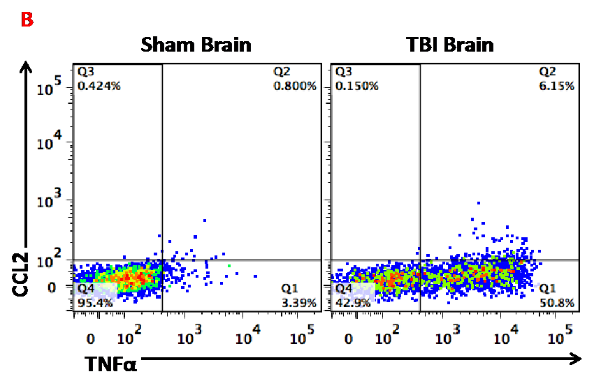 Flow Cytometry and Immunological Responses to TBI Figure B