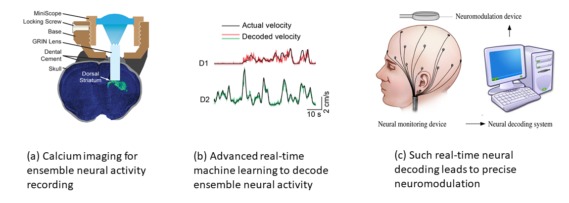 Brain behavior analysis figure