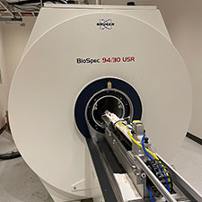 Small Animal MRI: 9.4T Biospec