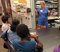 Students in Summer Bioscience Summer Program class