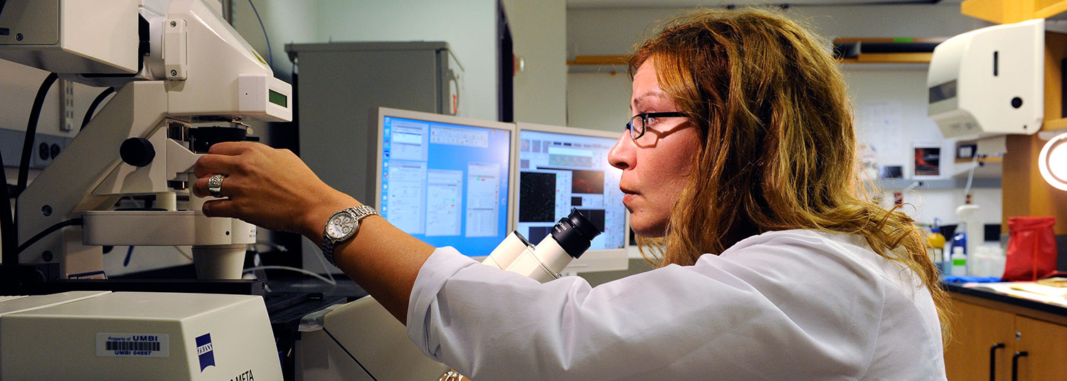 Research Header Image 01