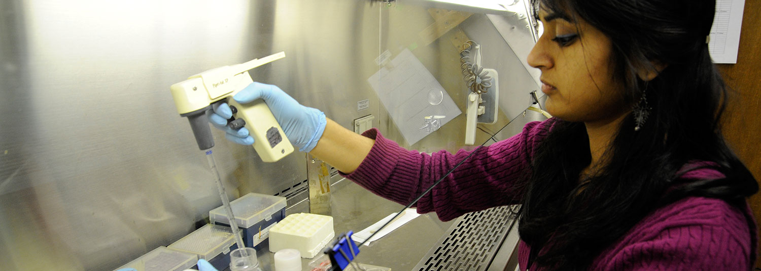 Research Header Image 03