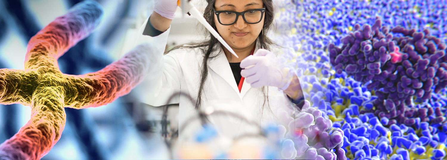 Research Resources Banner