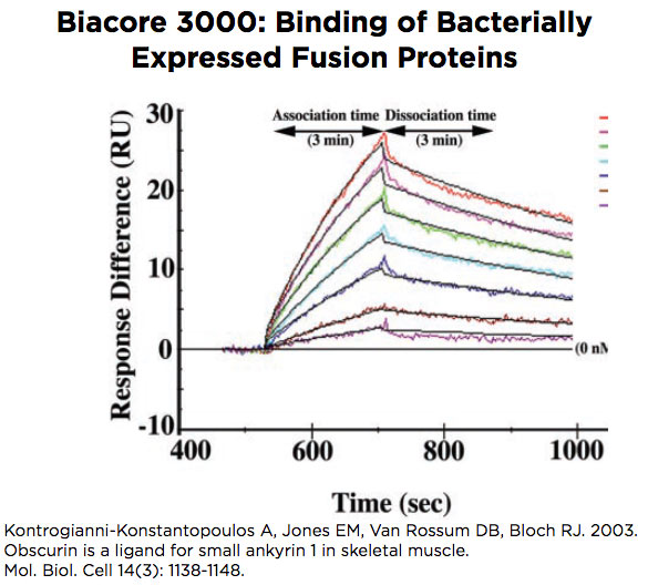 Biosensor Image 03