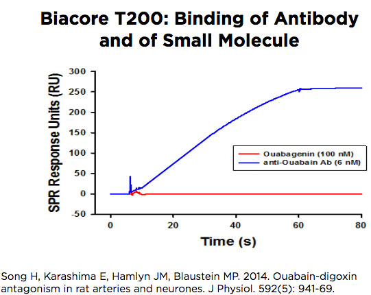 Biosensor Image 04