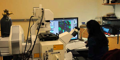 Olympus LCV Microscope