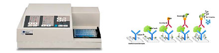 Microplate Reader