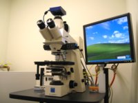 Epifluorescence Microscope