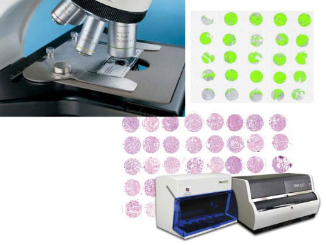 Pathology Biorepository Image 2