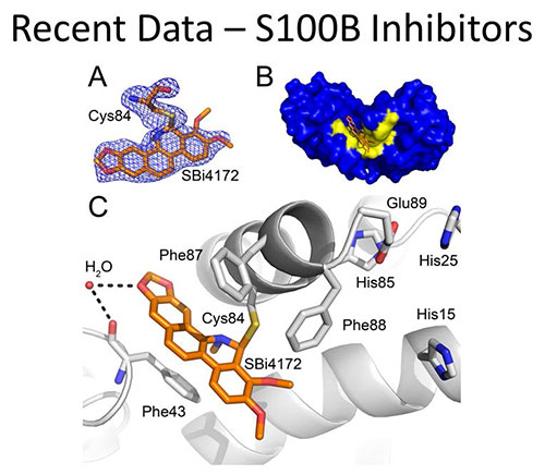 X-ray Crystallography Image03