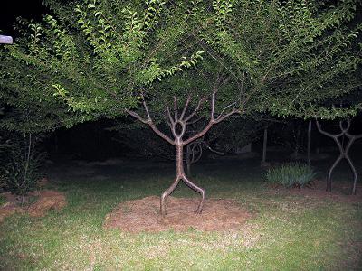 This tree looks like an actual human figure.