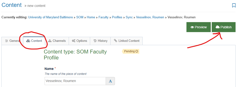 Screenshot of T4 showing Publish button
