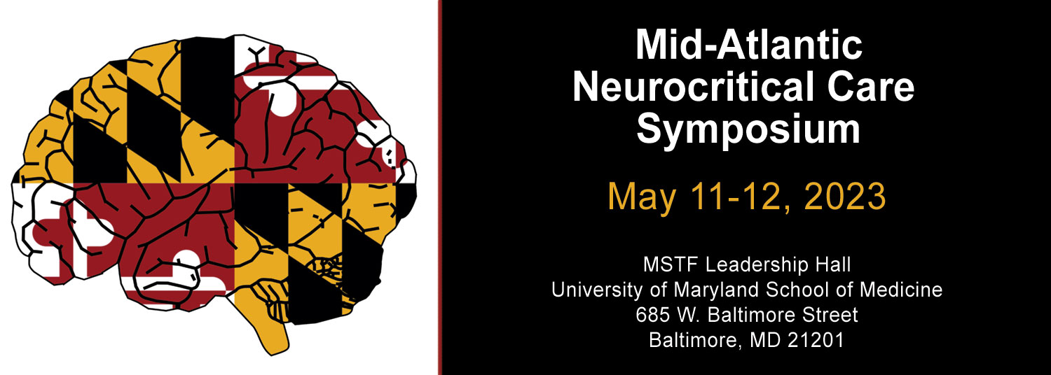 Brain in the Maryland state flag colors